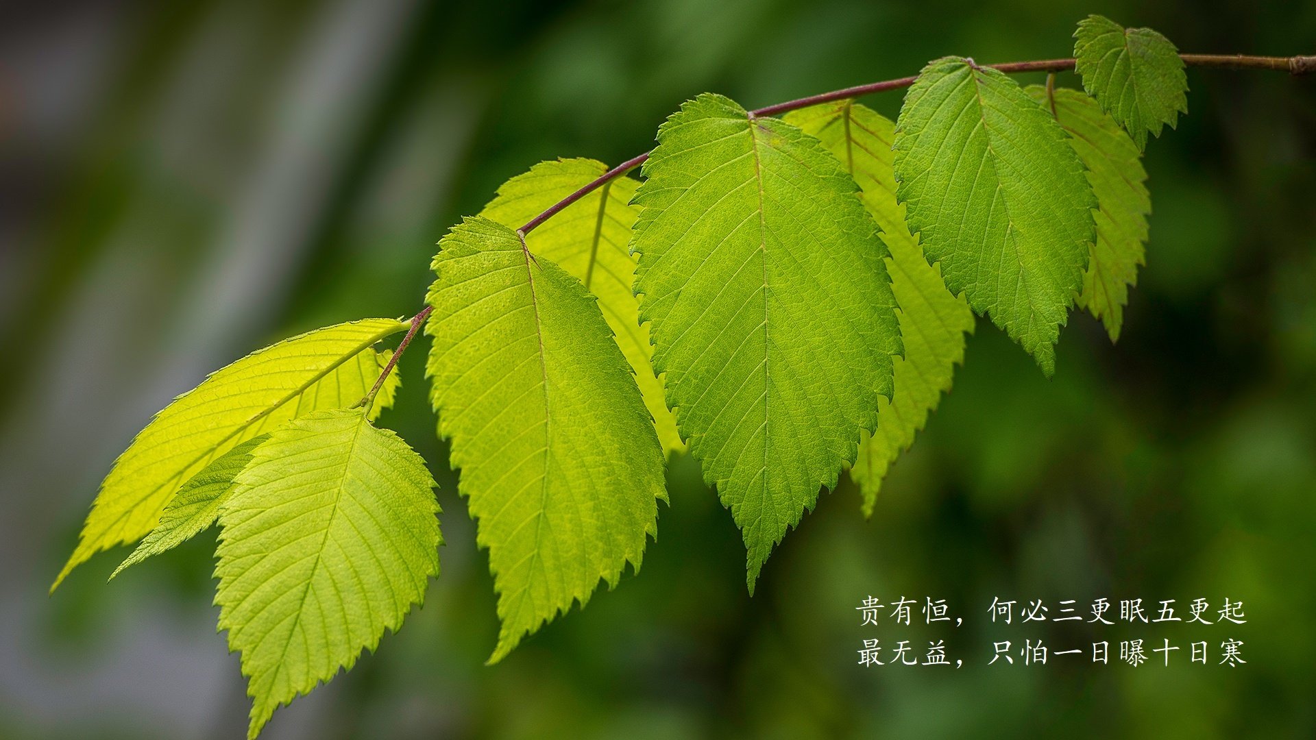 儿童电子产品的危害有哪些（小孩电子产品的危害）